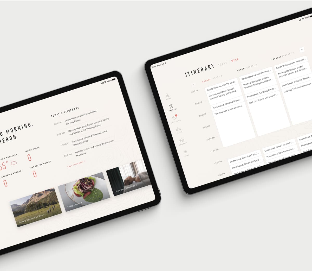 RESET mobile app design showing the itinerary app on a tablet device